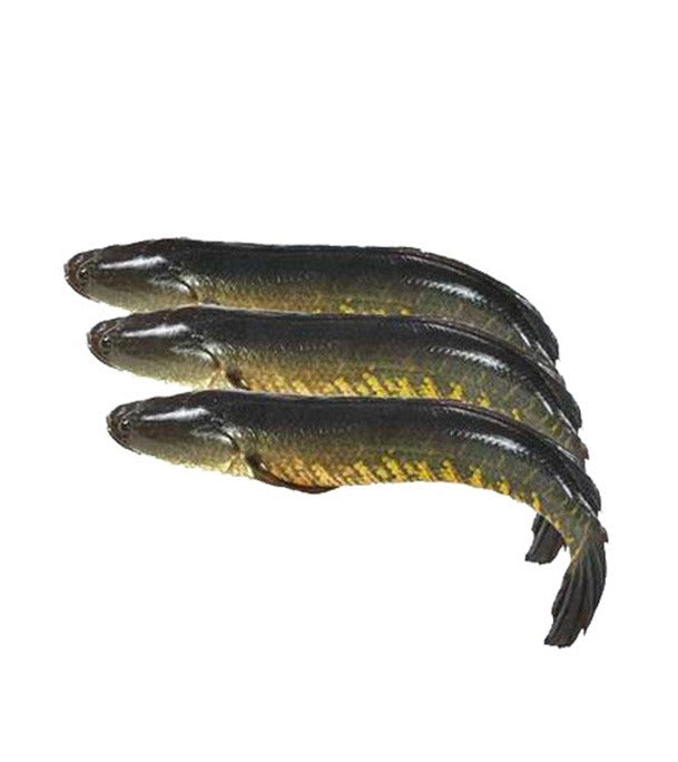Shol Fish Whole Cut 800GM