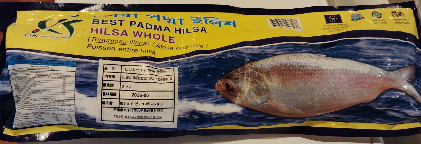 Hilsha Fish Whole (1kg up)